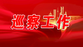 巡察工作
